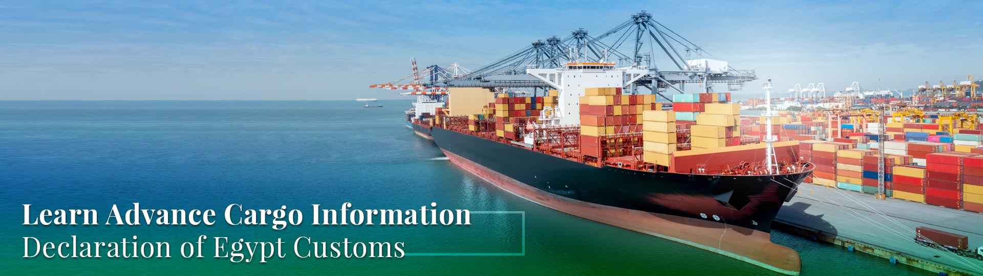 Advance Cargo Information Declaration